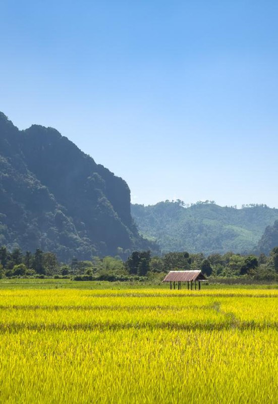L’Étreinte de Jade