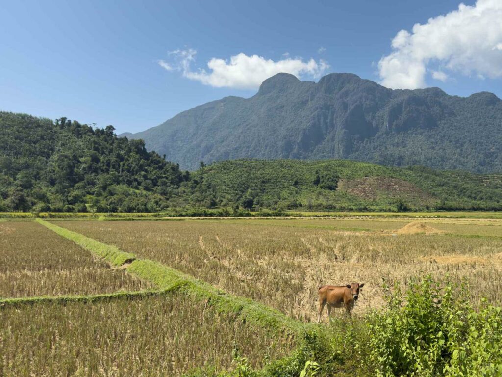Horizon Saphir et Terre Ocre