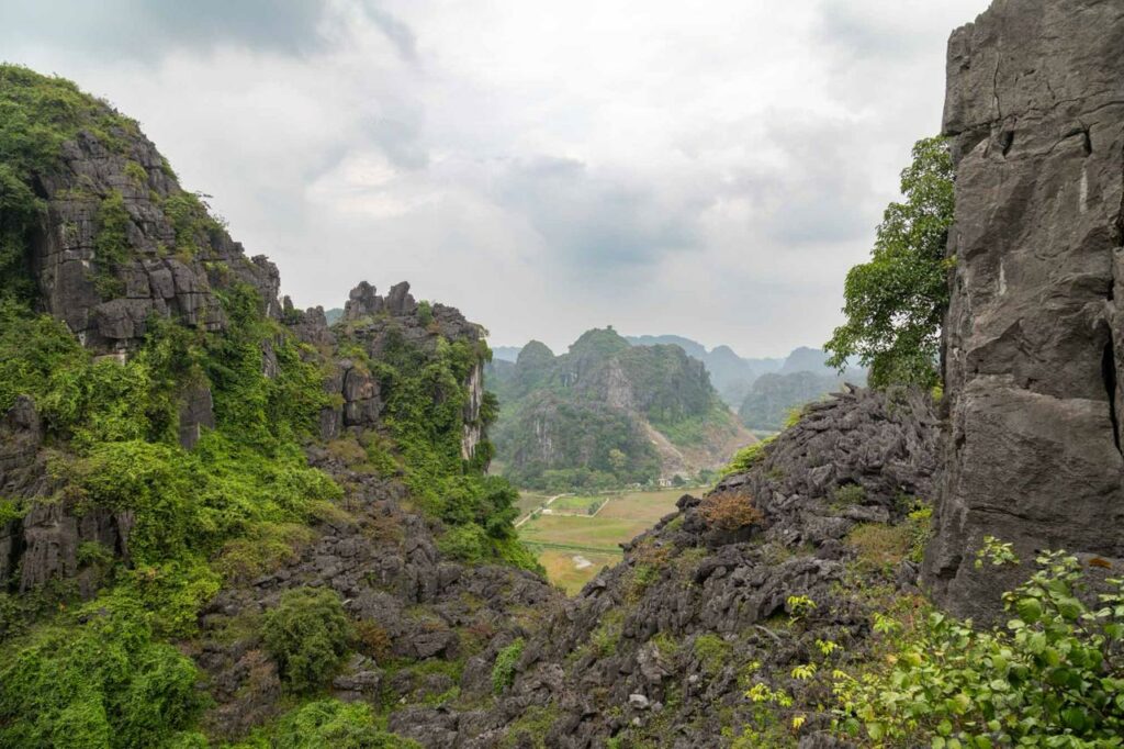 Émeraude Pétrifiée