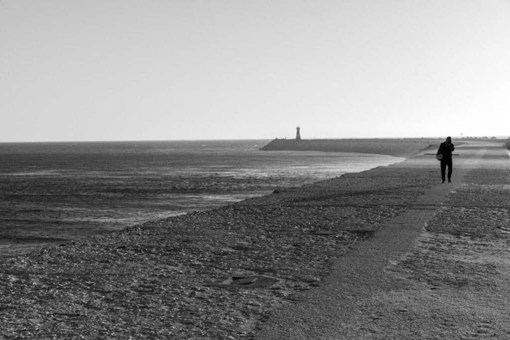 L’Appel du Phare