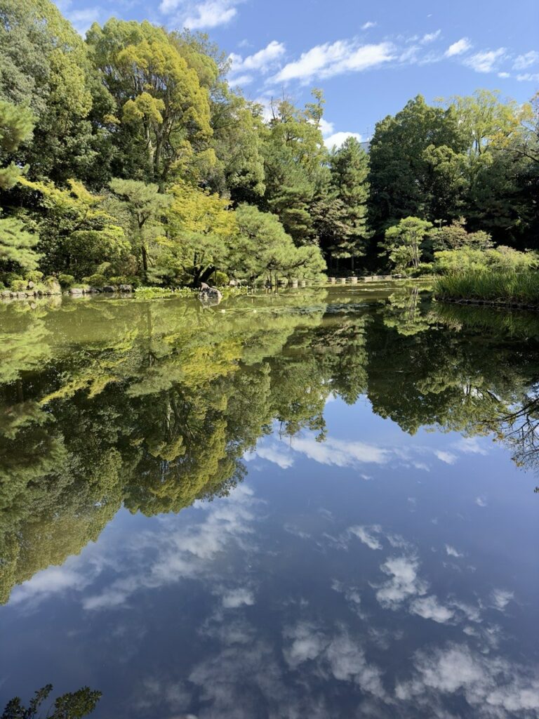 Le Miroir des Saisons