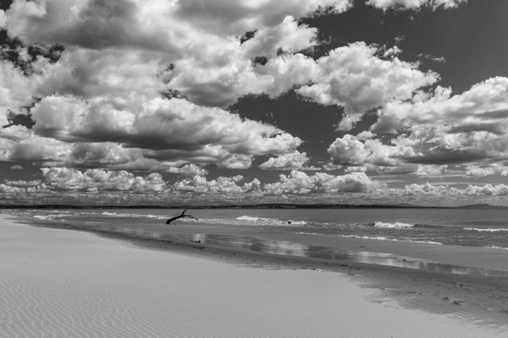 Sous le regard des géants de nacre