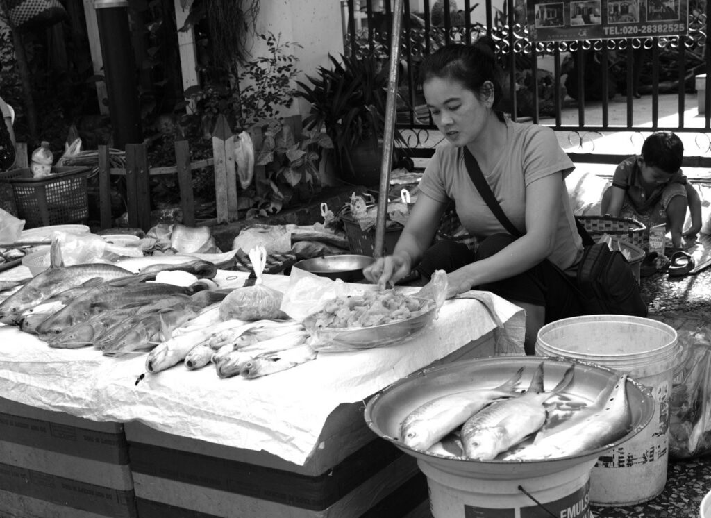 Le Temps Suspendu au Marché de Luang Prabang